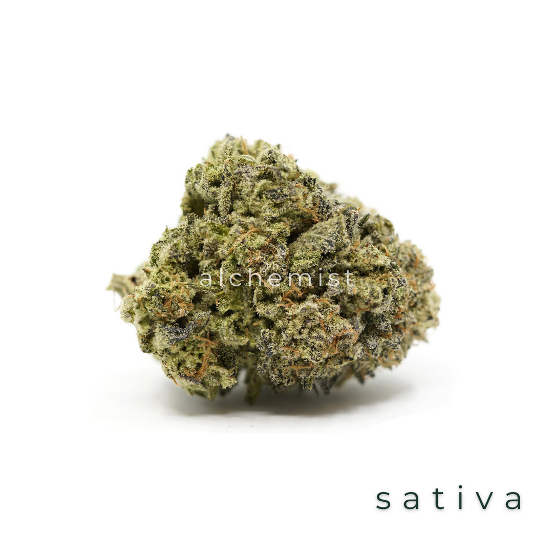 AAAA | COMA DE CRISTAL - SATIVA