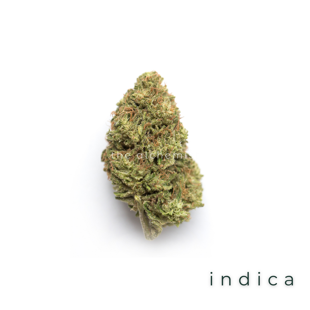 AAAA | FATSO - INDICA