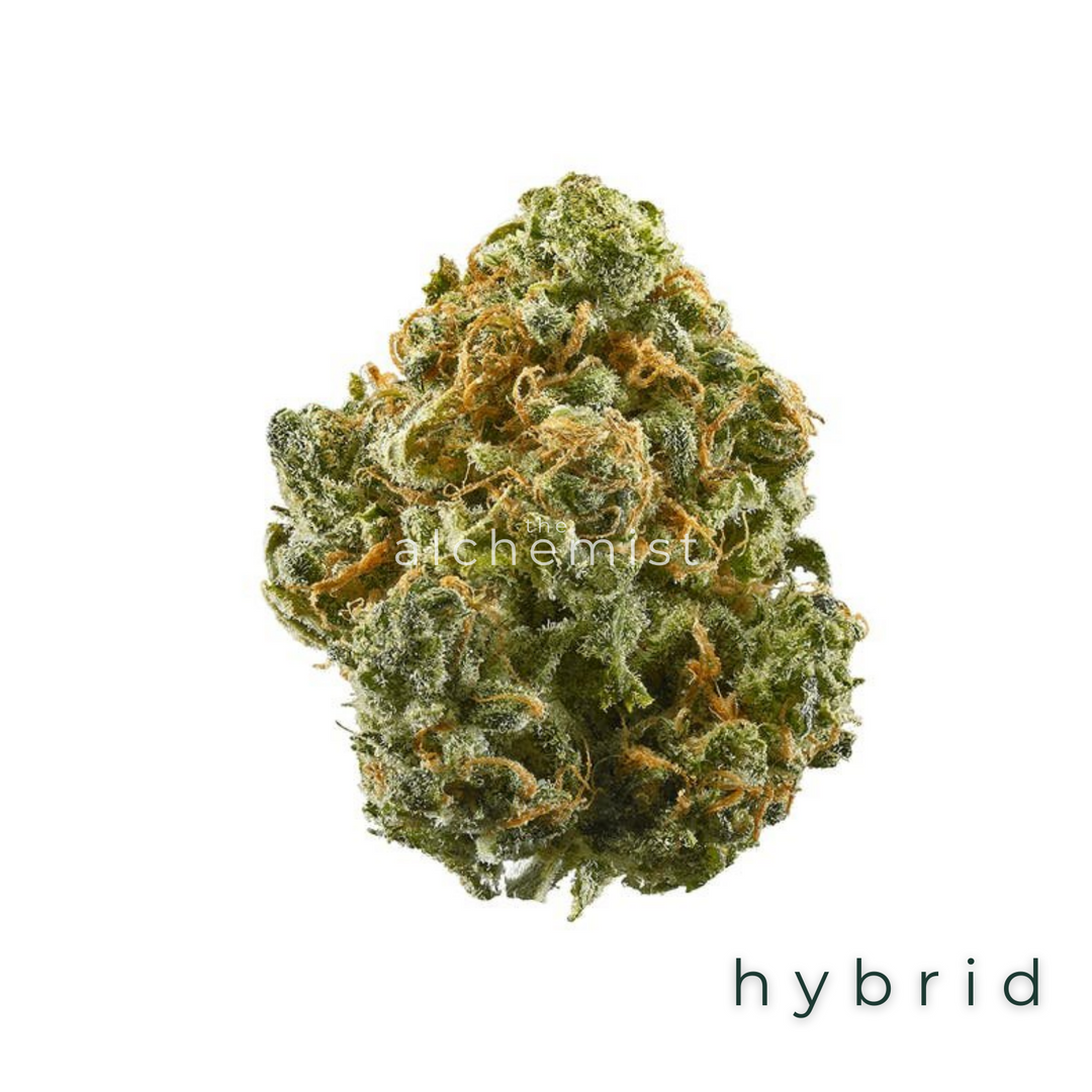 AAAA | BLUE DREAM - HYBRID