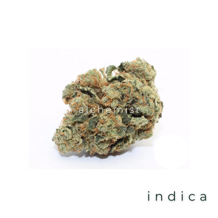 AAAA | SANG DE TIGRES - INDICA