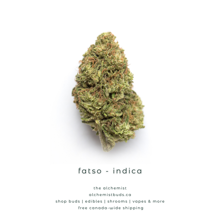 AAAA | FATSO - INDICA