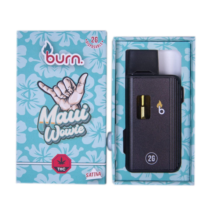 BURN THC DISPOSABLE VAPE PEN | 2000MG