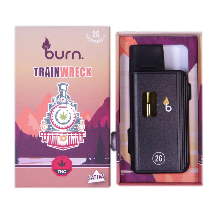 BURN THC DISPOSABLE VAPE PEN | 2000MG